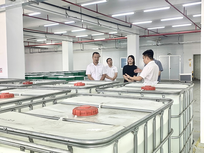 政企连心·共促发展|东莞市东城区政府领导莅临豪门国际新材参观指导